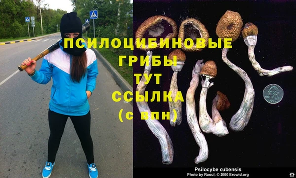 тгк Армянск