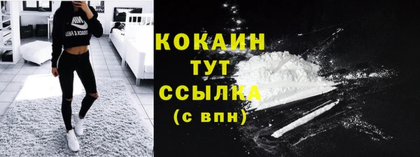 крисы Арсеньев
