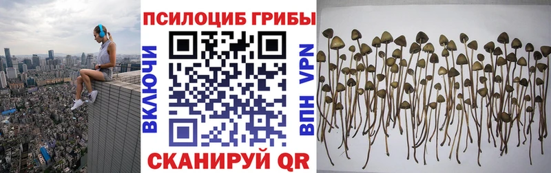 Псилоцибиновые грибы прущие грибы  Рузаевка 